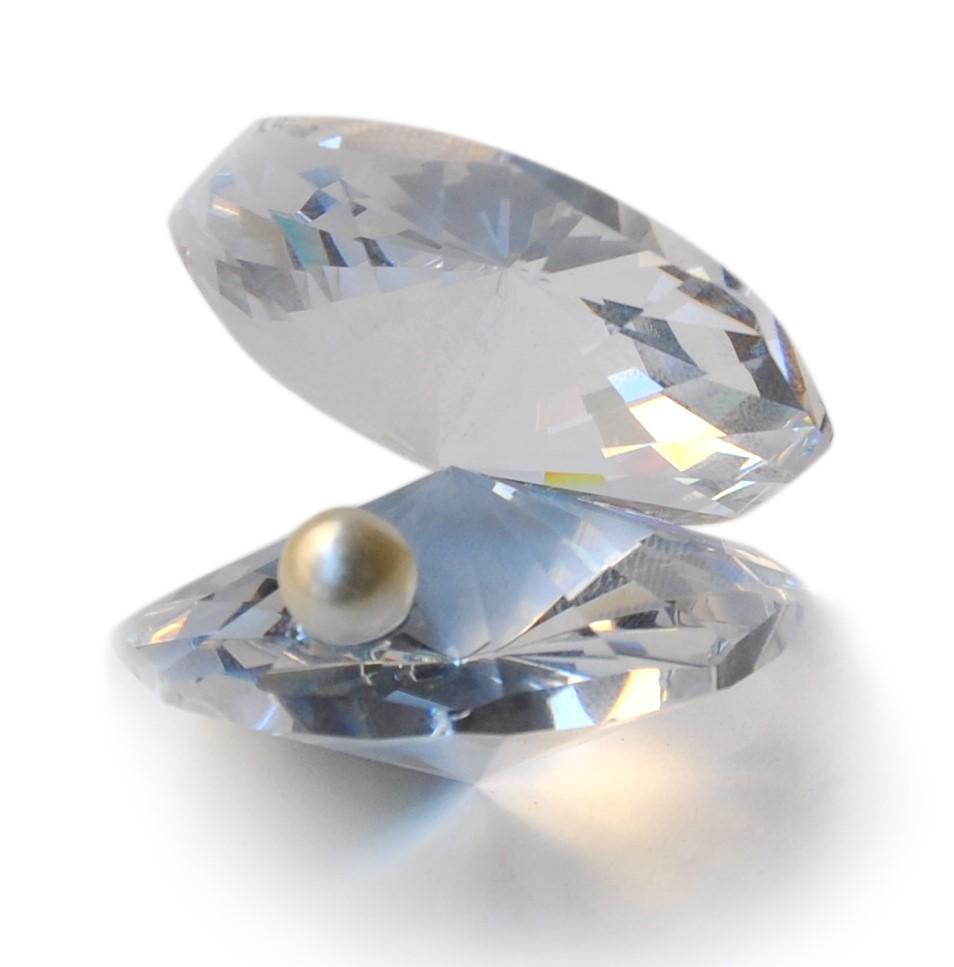 Swarovski Crystal Shell With Pearl