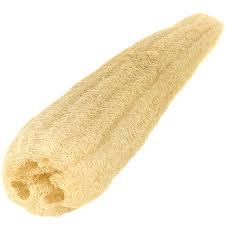 One Whole Luxurious 100% Natural SPA Beauty Egyptian Organic Loofah Bath Sponge Body Scrubber. Premium Quality Lofa Loofa Luffa Loffa