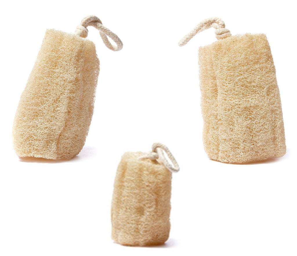 Set of 3 Luxurious 100% Natural SPA Beauty Egyptian Organic Loofah Bath Sponge Body Scrubber. Premium Quality Lofa Loofa Luffa Loffa